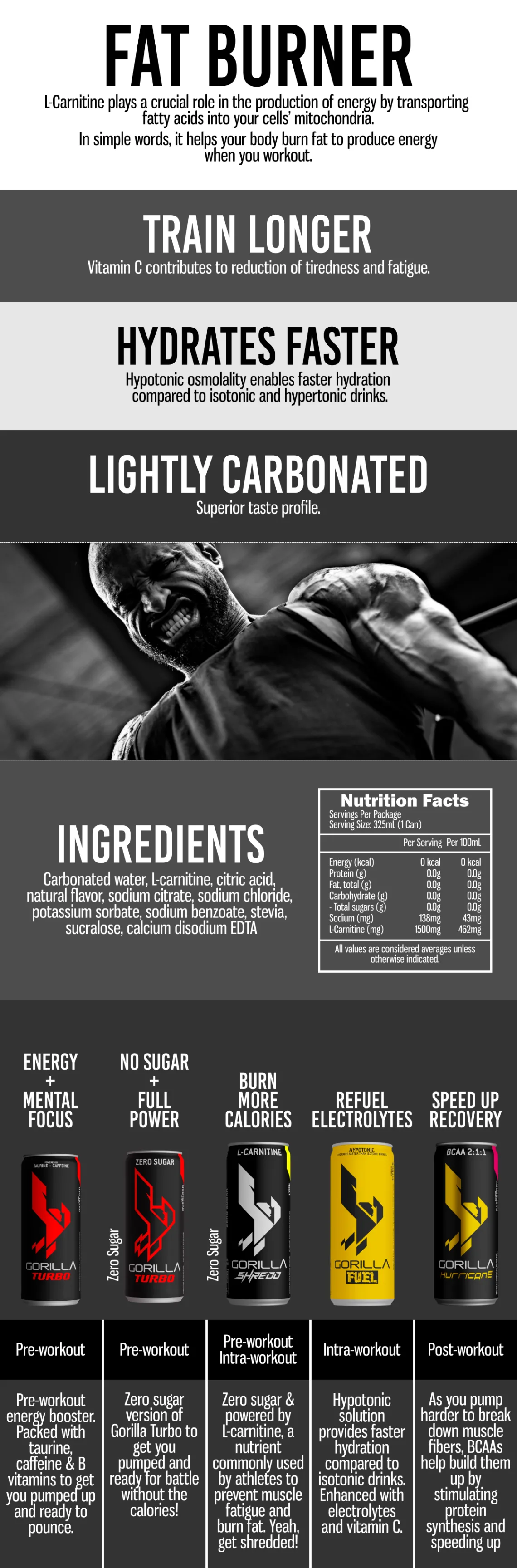 GORILLA Shredd Laser Lime, 24 x 325mL Cans – product details